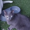 Photo of Hattie ๐น
