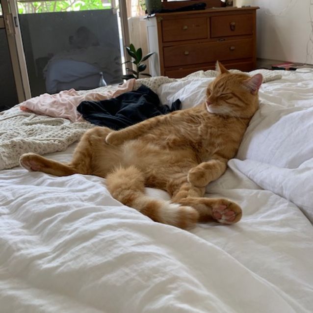 Photo of Marty