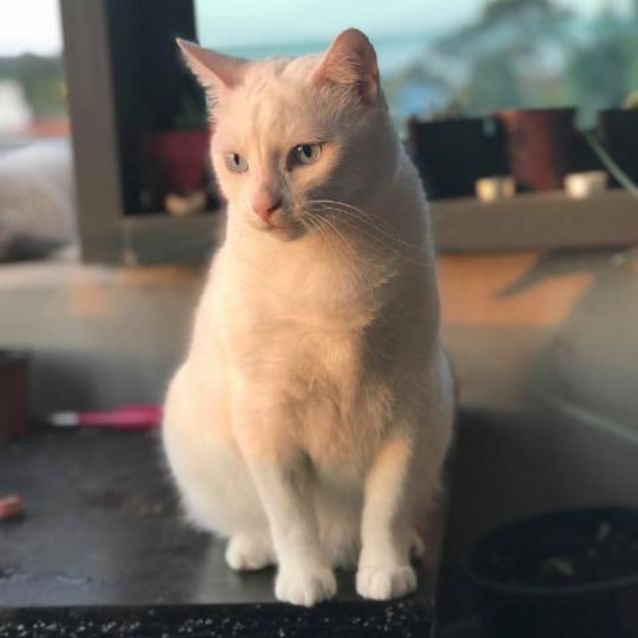 Photo of Winnie