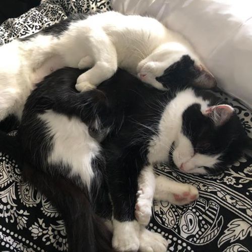 Yin and Yang