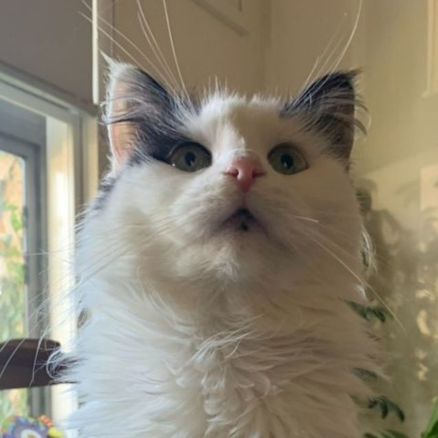 Photo of Peyton   Located In Clifton Hill