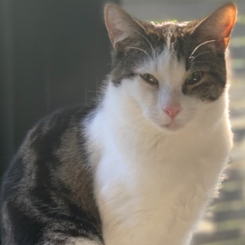 No photo for 🐾 Siouxsie 🎶