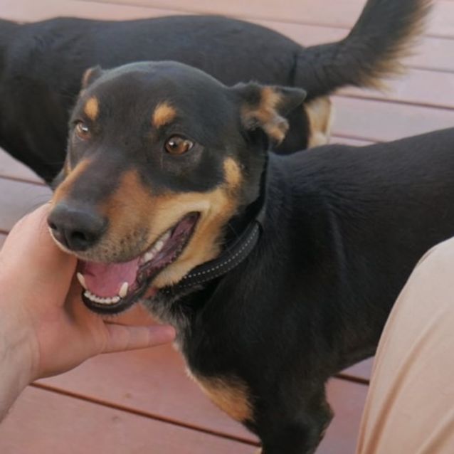 Photo of Izzy