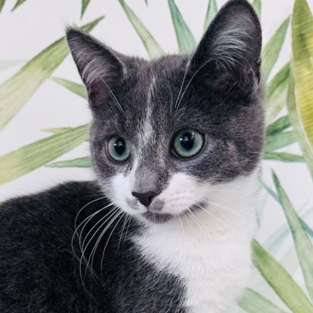 Photo of Baguette   Located In Preston
