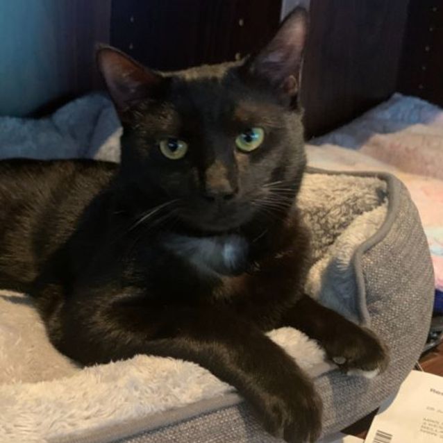 Photo of Jet