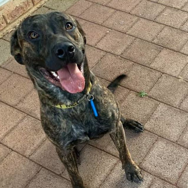 Photo of Cody Dl2428