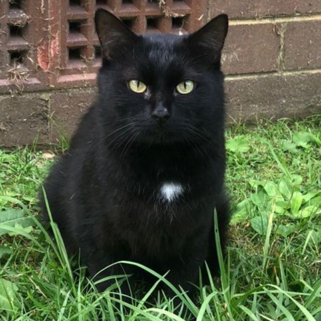 Photo of George