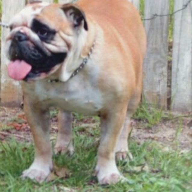 Photo of Gabby
