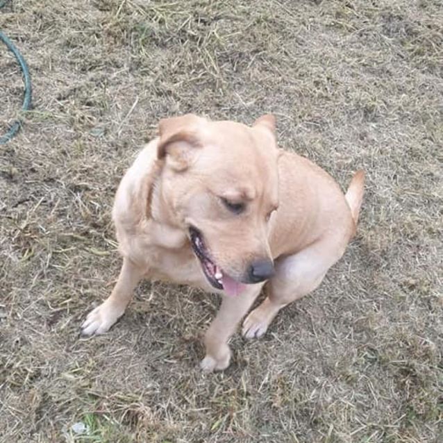 Photo of Brandy Dl2314