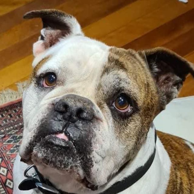Photo of Chiefy