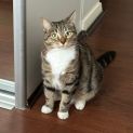 Photo of Millie