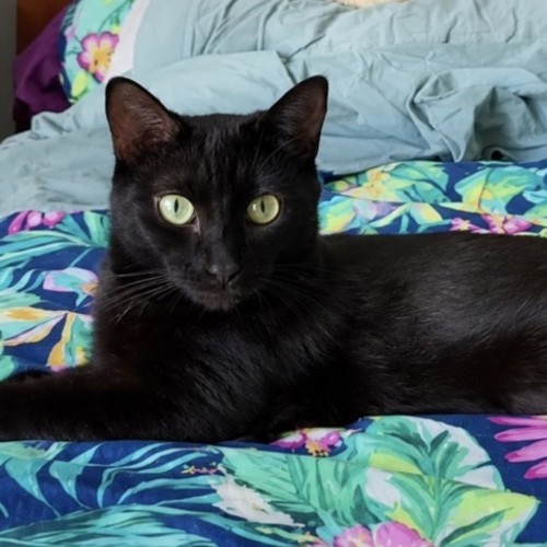 Luna