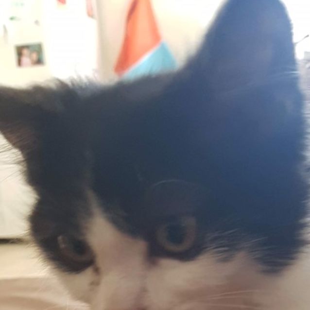 Photo of Luigi