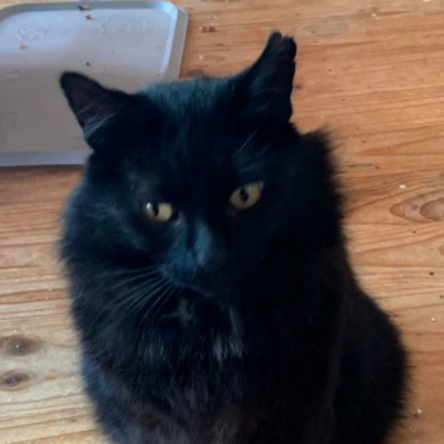 Photo of Jedd   Can Transport To You