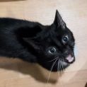 Photo of Wednesday