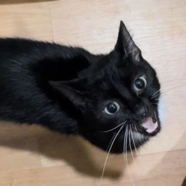 Photo of Wednesday