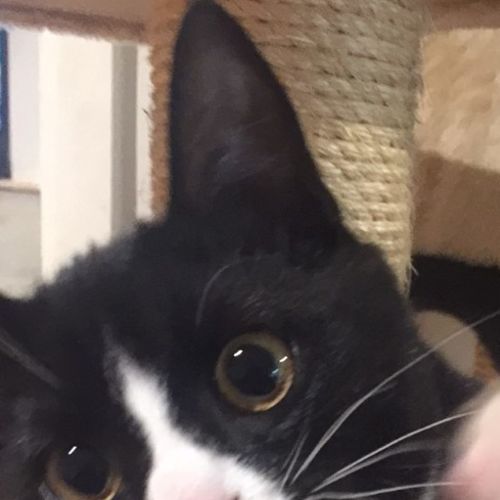 Charlie