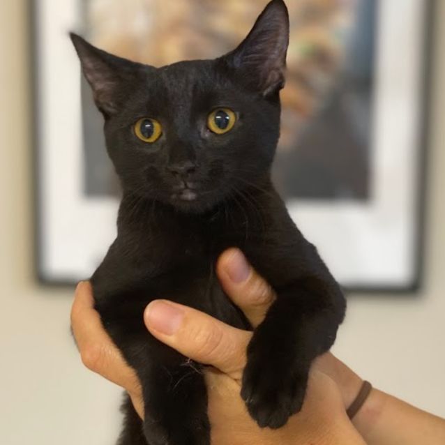 Photo of Jerome