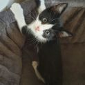 Photo of Jasper