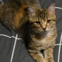 Photo of Bonnie