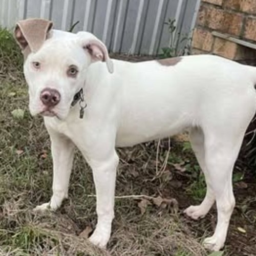 No photo for Thea Queen