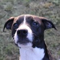 Photo of Hershey