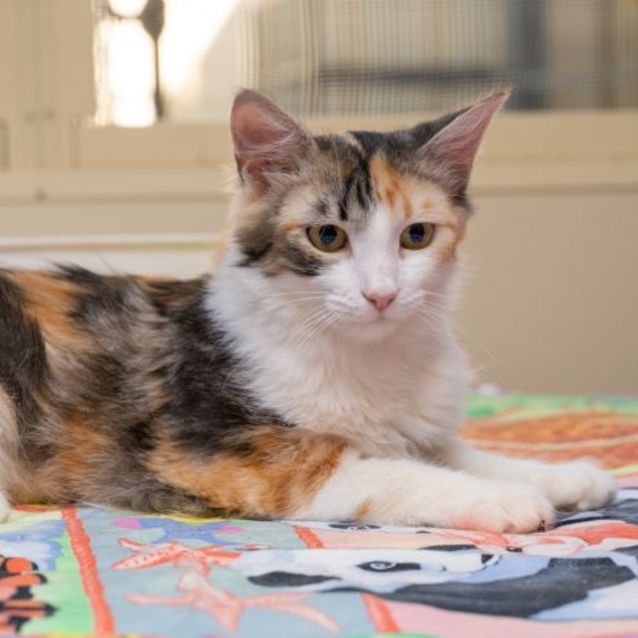 Photo of Maeve