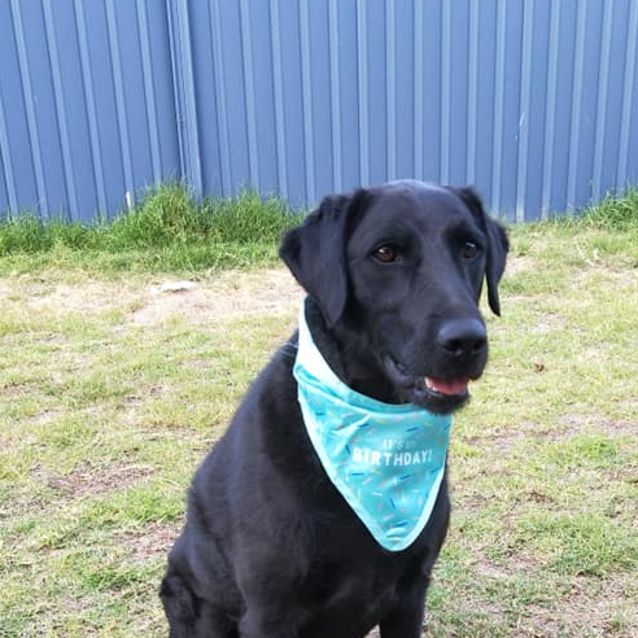 Photo of Juddy Dl2175