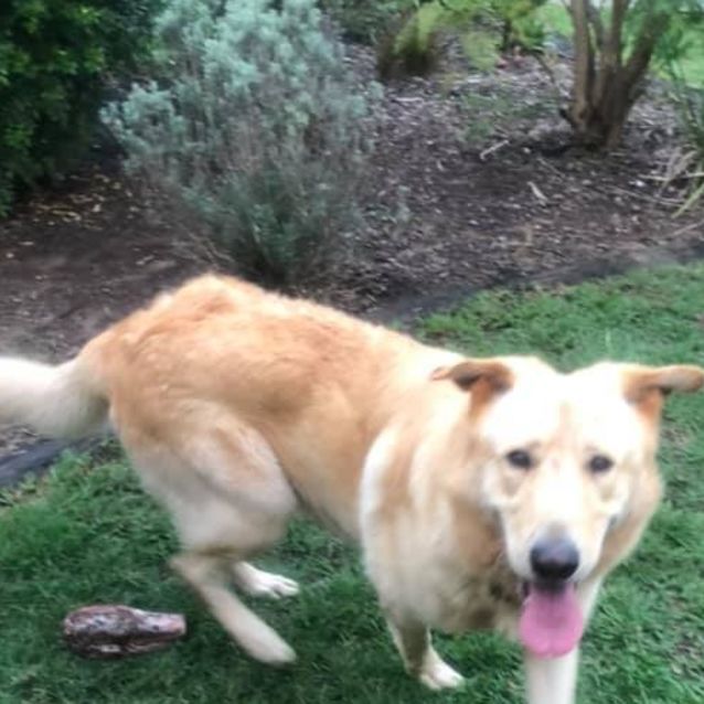 Photo of Polar