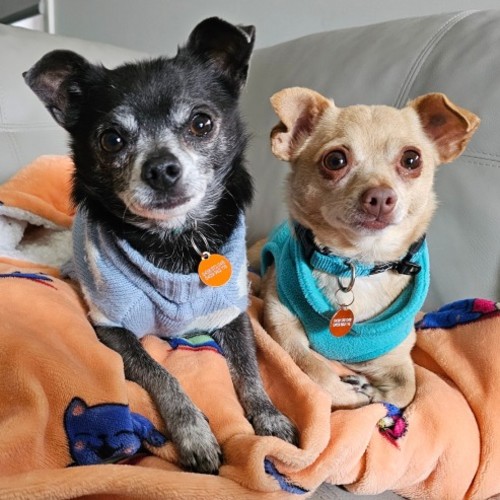 Chiquita & Alejandro