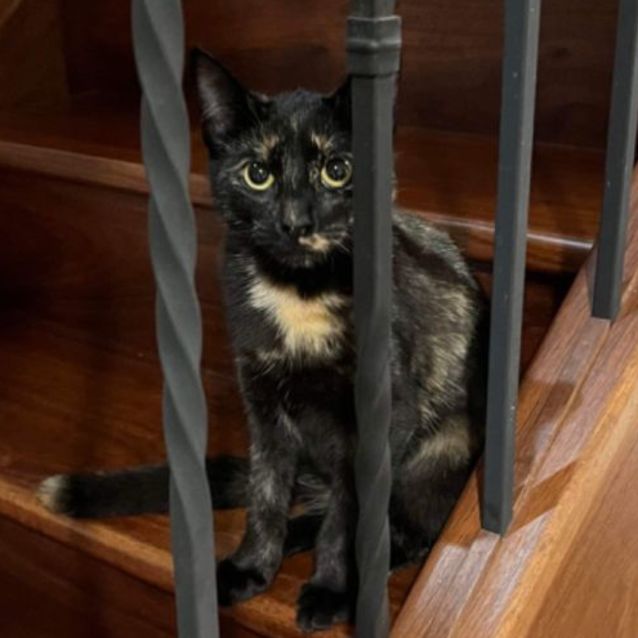 Photo of 💞 Callie 💞