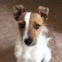 Photo of Fergal
