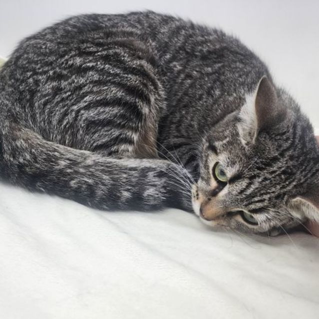 Photo of Carol🤶🎼