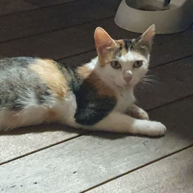 Photo of Princess