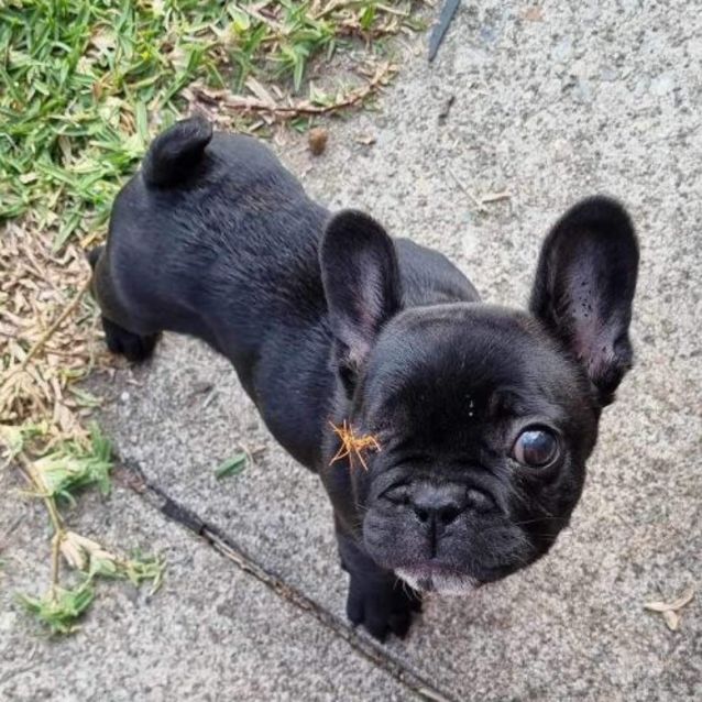 Photo of Xander