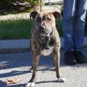 Photo of Roxy