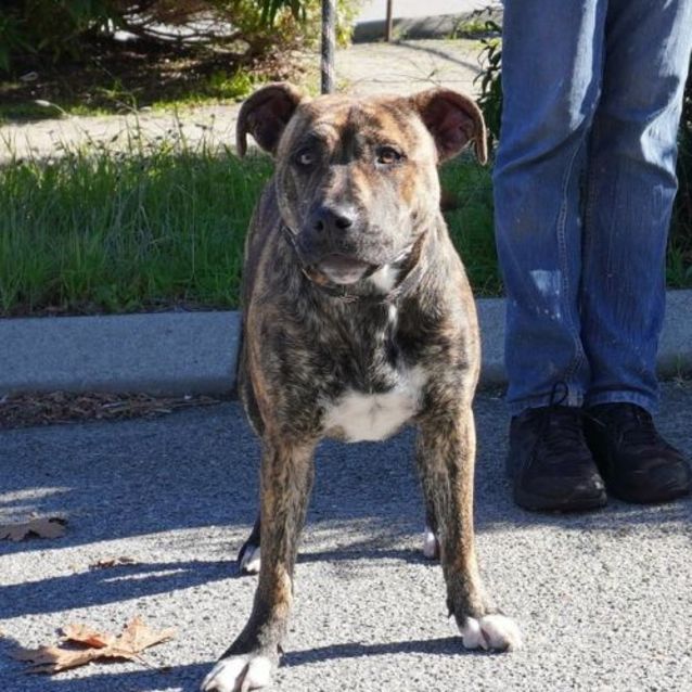 Photo of Roxy
