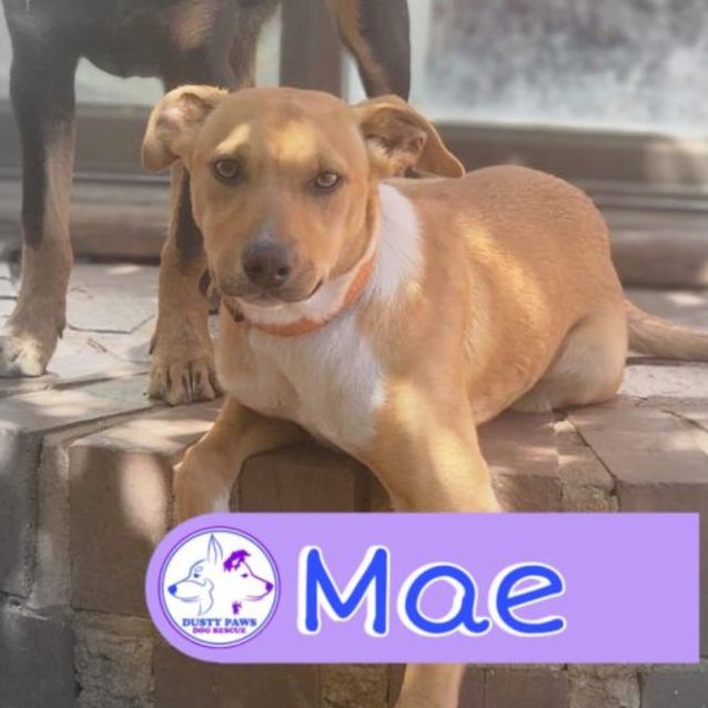 Photo of Mae
