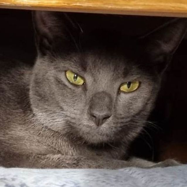 Photo of 💙 Einstein 💙