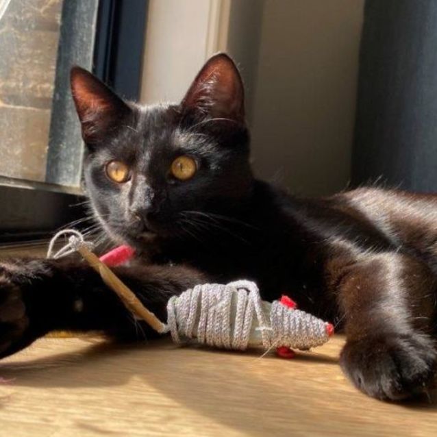 Photo of Sinders Yeager