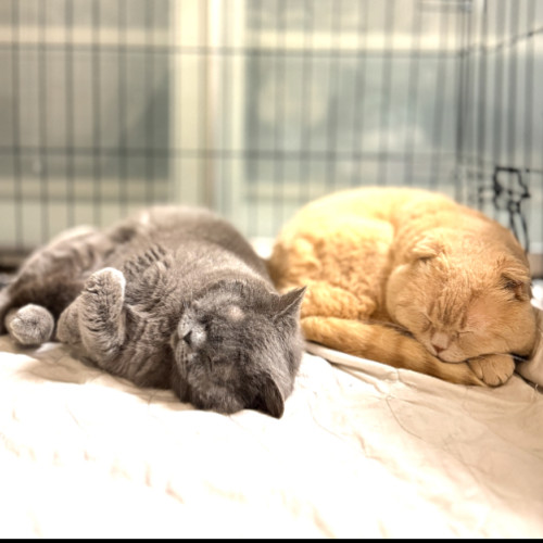 No photo for Odean & Lucy