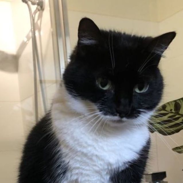 Photo of Charlotte   Located In St Kilda East
