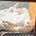 Photo of Bidgy
