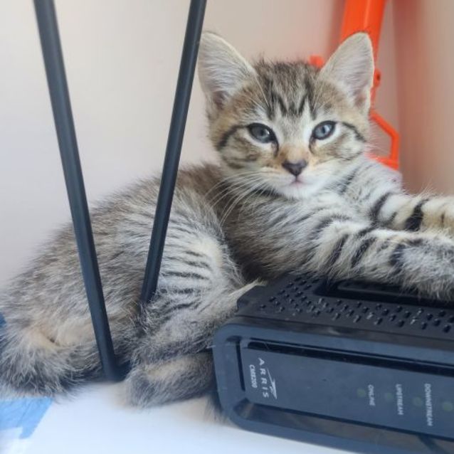 Photo of Tinkerbelle 🧚🏻‍♀️