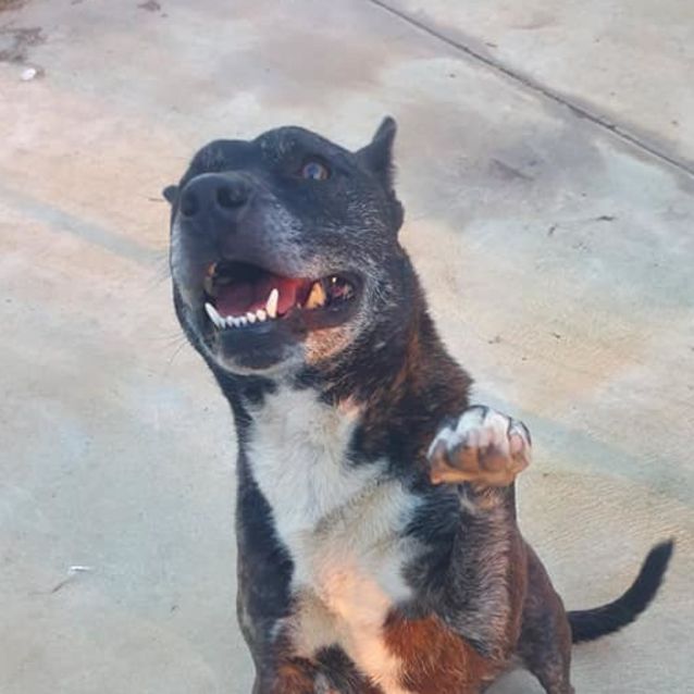Photo of Sammie Dl2191