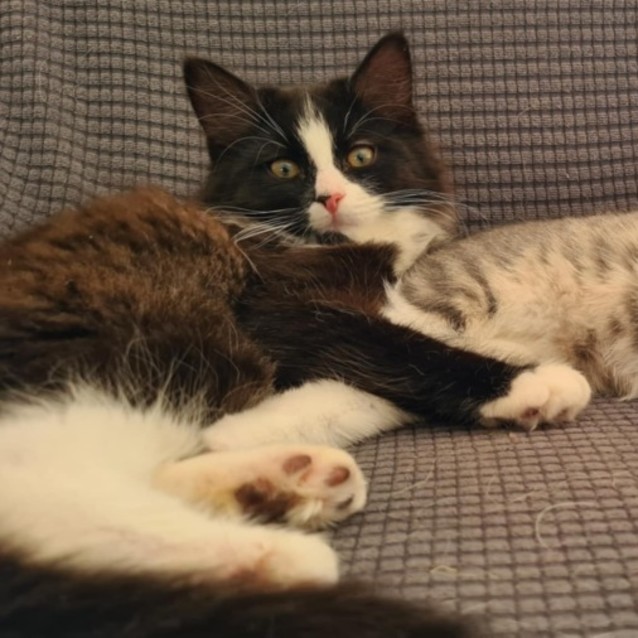 Photo of Walter Jones