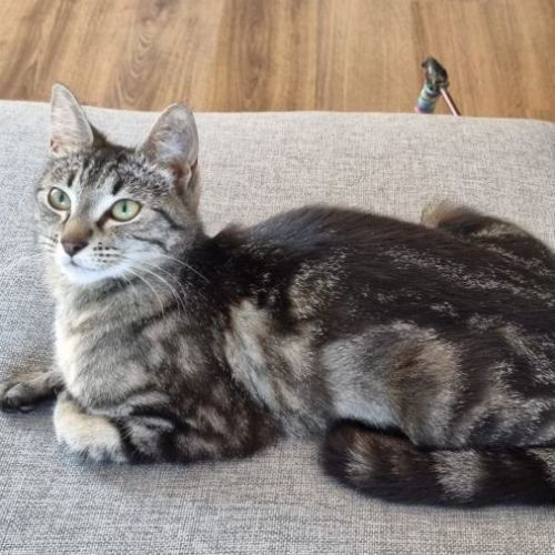 Matilda