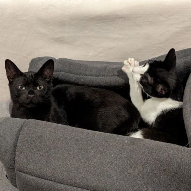 Photo of Lewis And Lily 