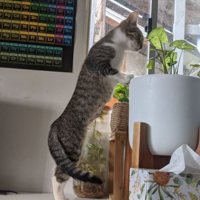 Photo of Spice