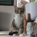 Photo of Spice